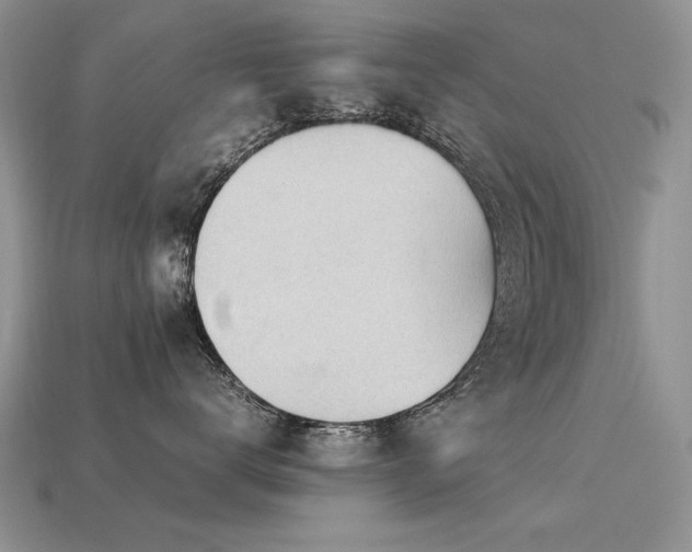 X0000113600672200909181353