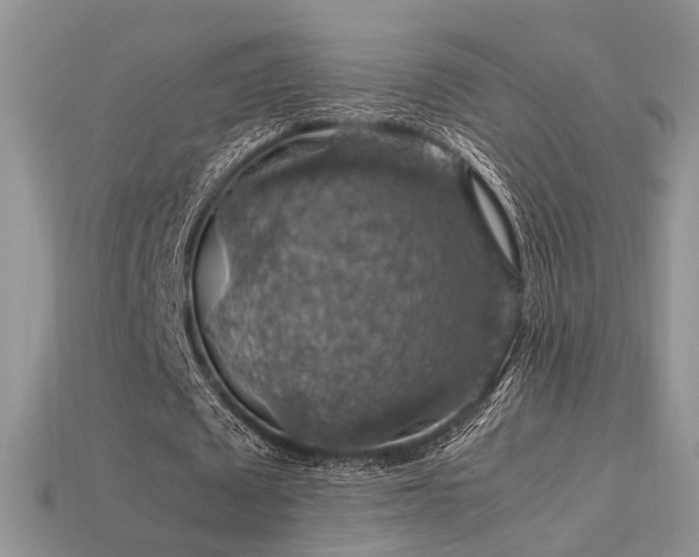 X0000113600673200909181352