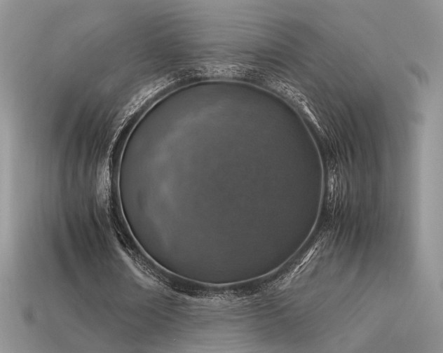 X0000113600674200909181352