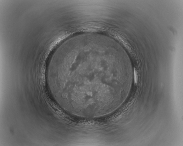 X0000113600675200909181352