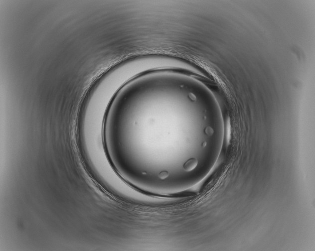 X0000113600677200909181352