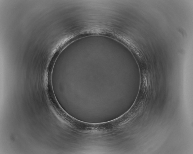 X0000113600678200909181352