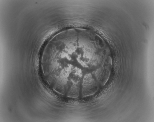 X0000113600679200909181352