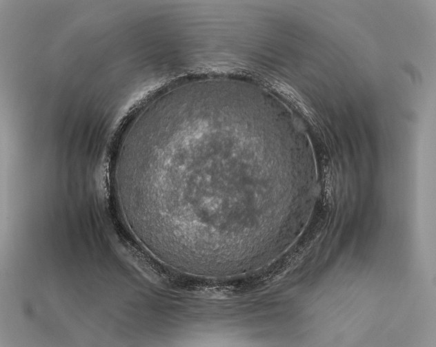 X0000113600680200909181352