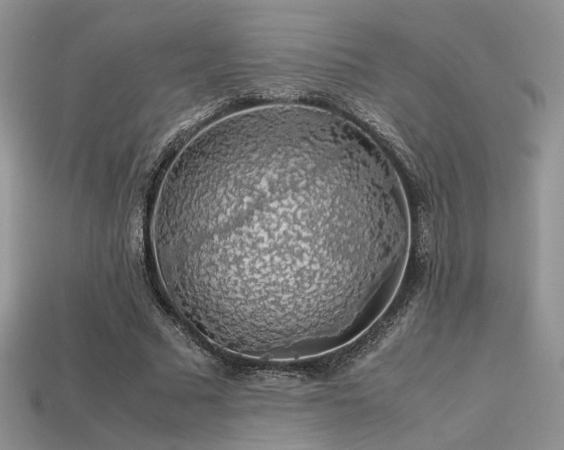 X0000113600681200909181352