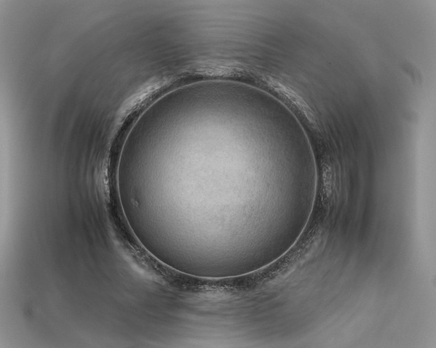 X0000113600682200909181352