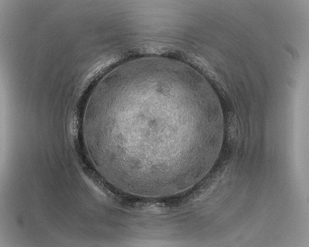 X0000113600683200909181352