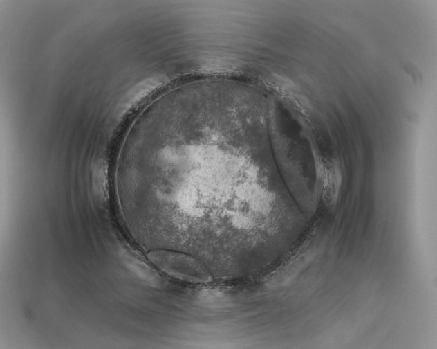 X0000113600684200909181352