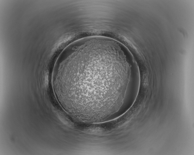 X0000113600685200909181352