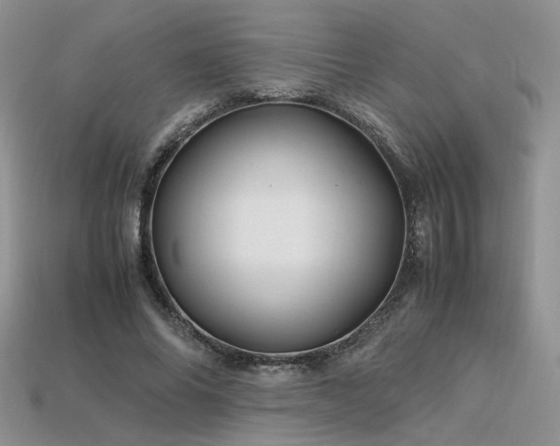 X0000113600686200909181352