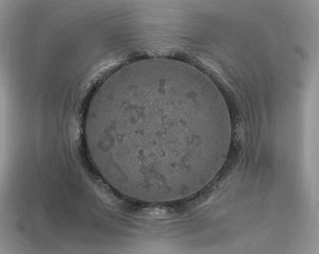 X0000113600687200909181352