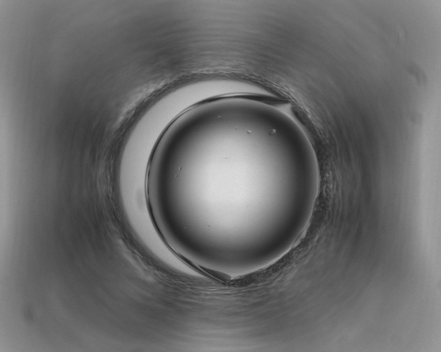 X0000113600688200909181352