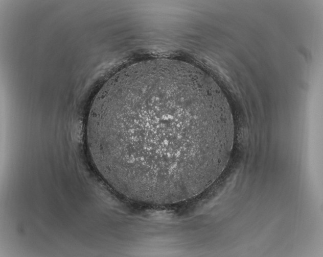 X0000113600689200909181352