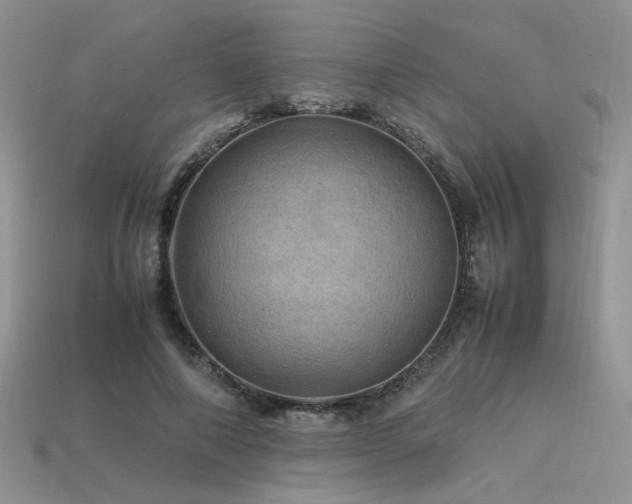 X0000113600690200909181352