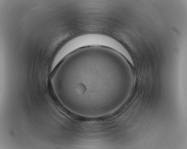 X0000113600692200909181352