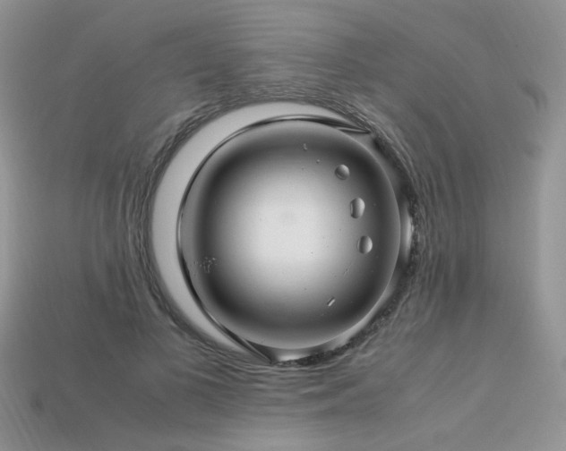 X0000113600693200909181352