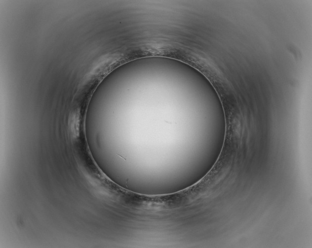 X0000113600694200909181352