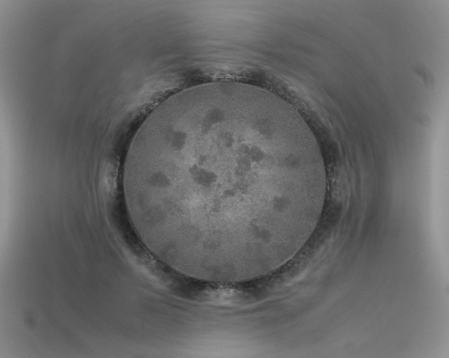 X0000113600695200909181352