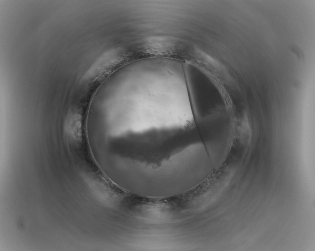 X0000113600696200909181352