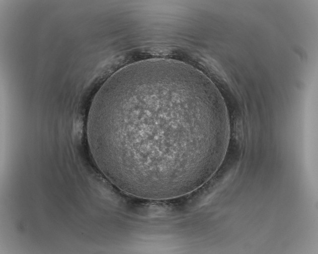 X0000113600697200909181352