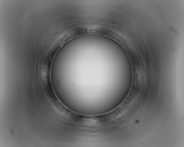 X0000113600698200909181352