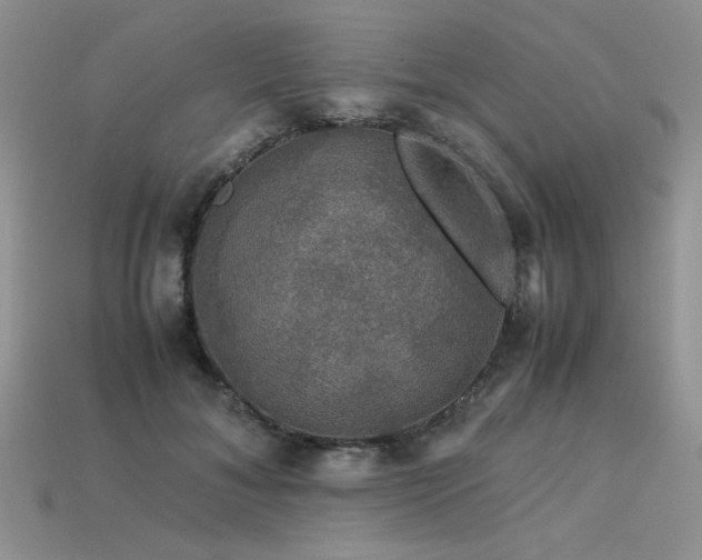 X0000113600700200909181352