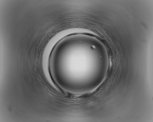 X0000113600701200909181352