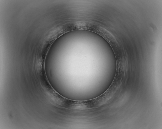 X0000113600702200909181352