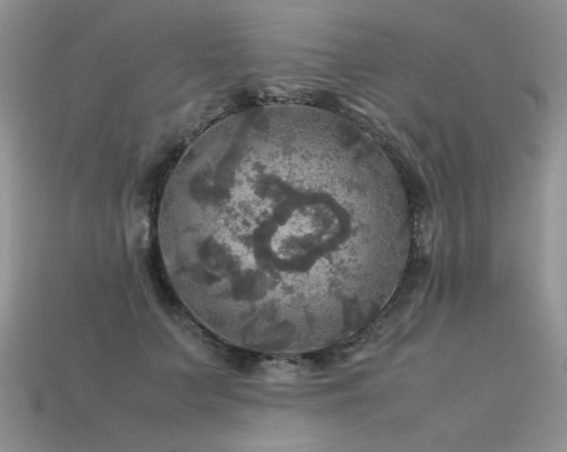 X0000113600703200909181352