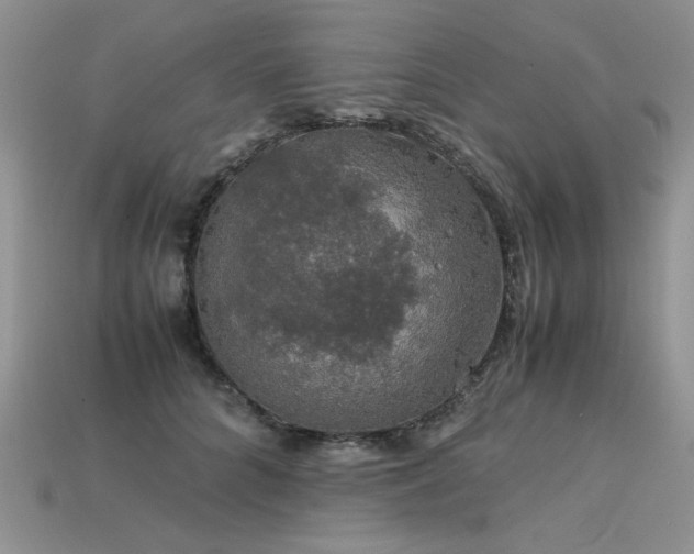 X0000113600704200909181352