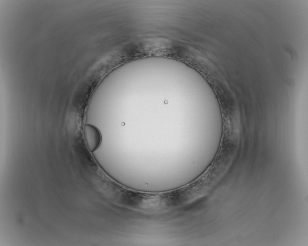 X0000113600705200909181352