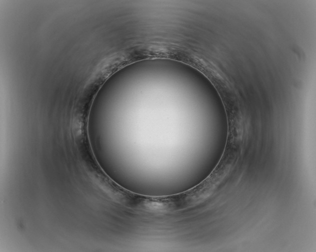 X0000113600706200909181352