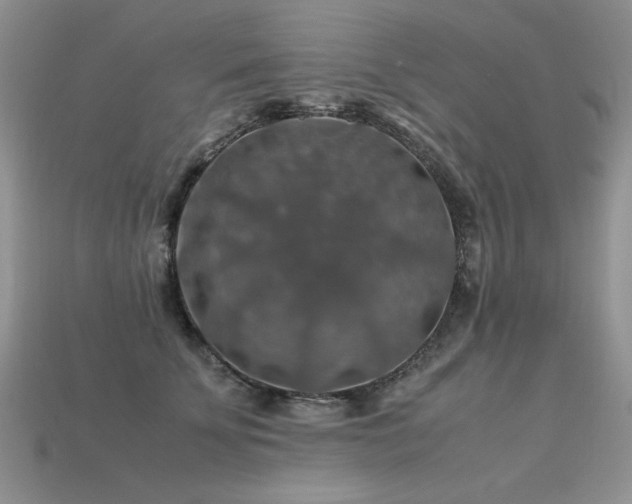 X0000113600707200909181352