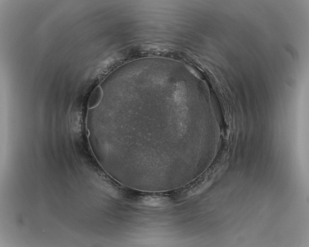 X0000113600708200909181352