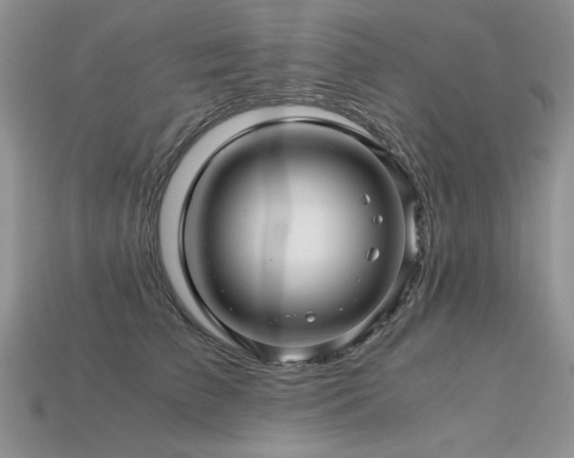 X0000113600709200909181352