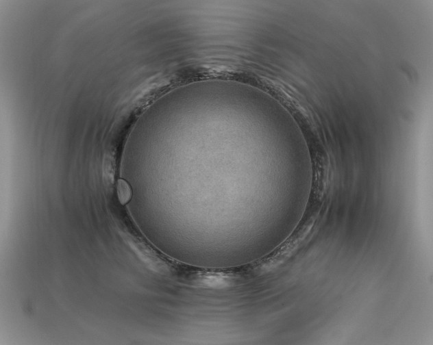 X0000113600710200909181352