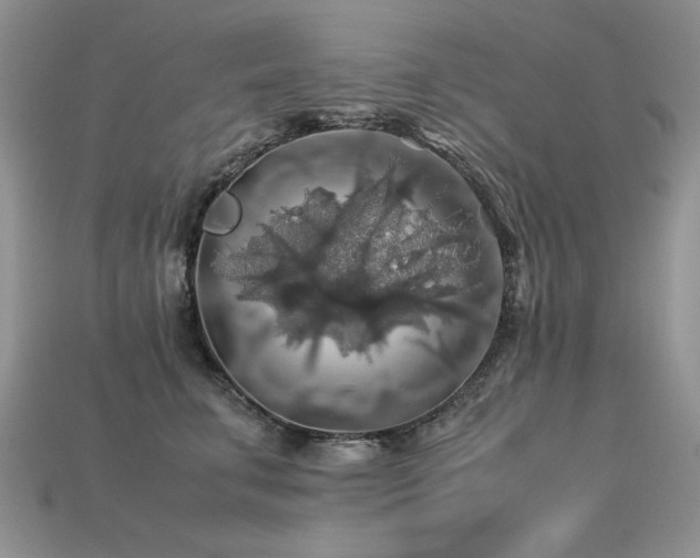 X0000113600711200909181352