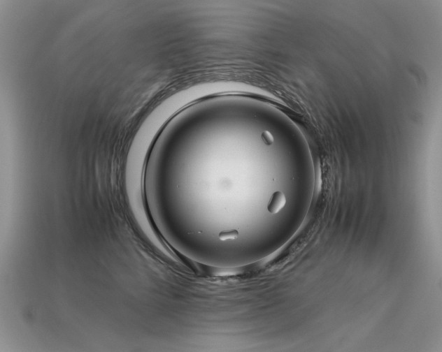 X0000113600712200909181352