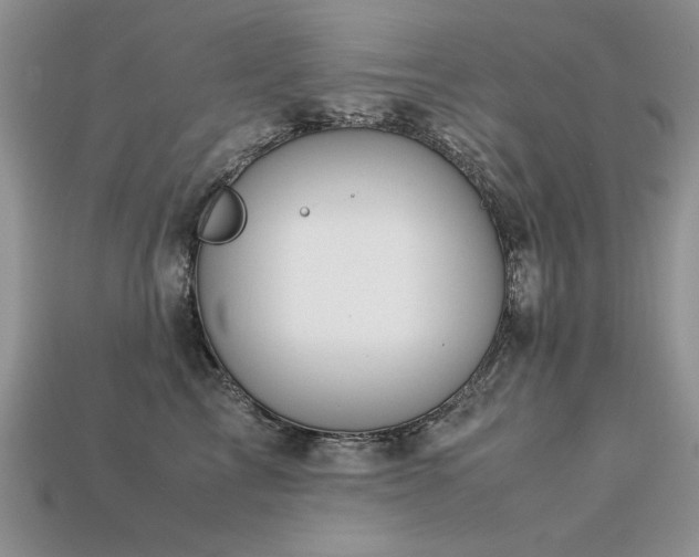 X0000113600713200909181352