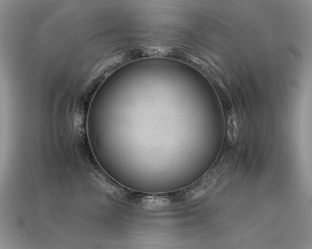 X0000113600714200909181352