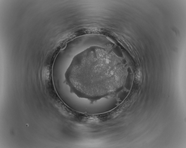 X0000113600715200909181352