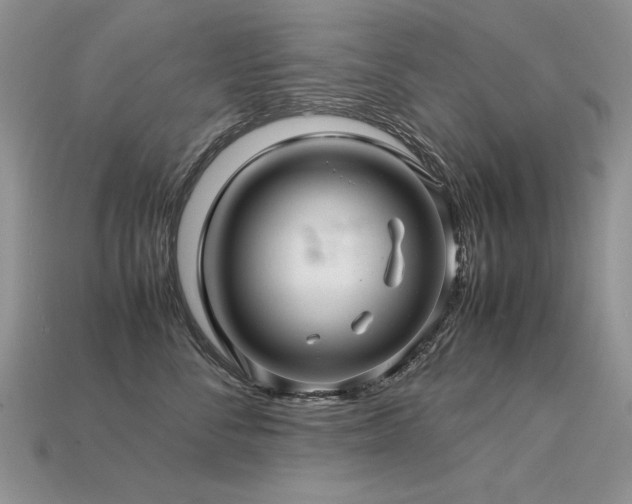 X0000113600716200909181352