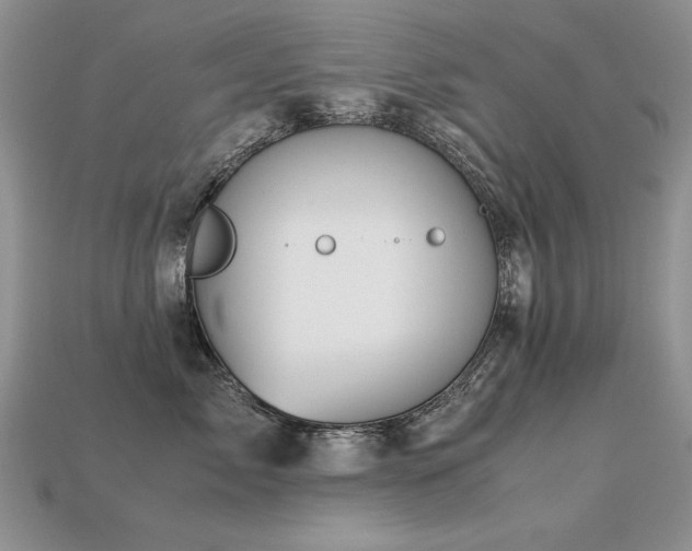 X0000113600717200909181352