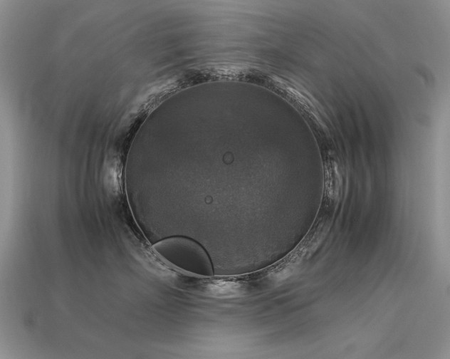 X0000113600718200909181352