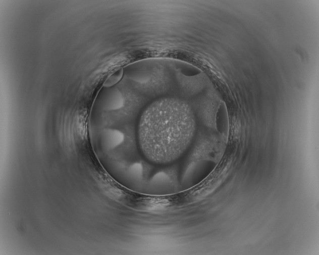 X0000113600719200909181352