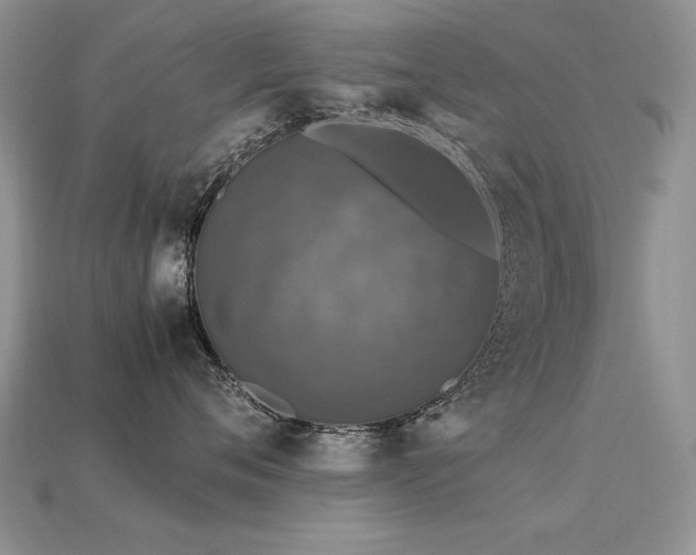 X0000113600720200909181352