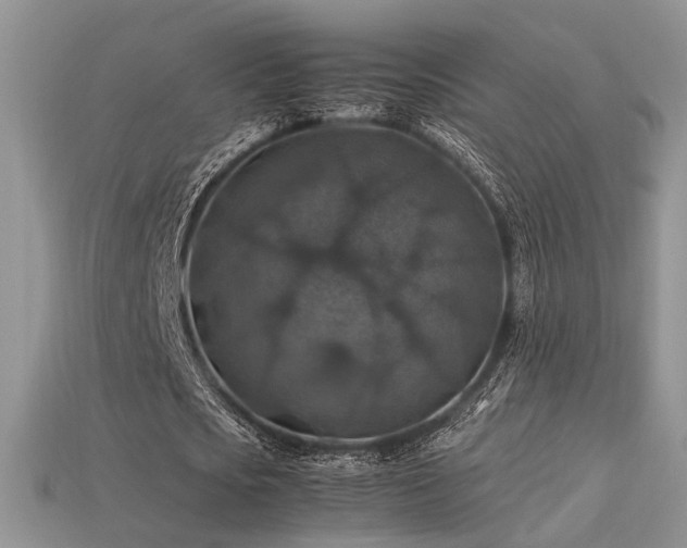 X0000113600721200909181351