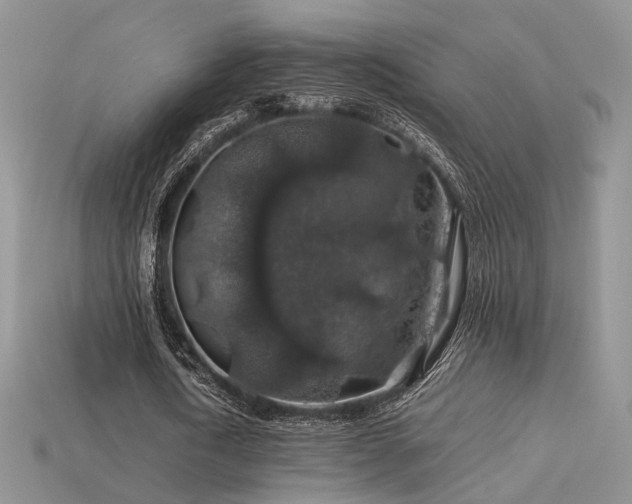 X0000113600722200909181351