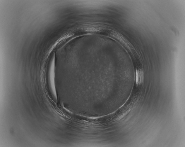 X0000113600723200909181351