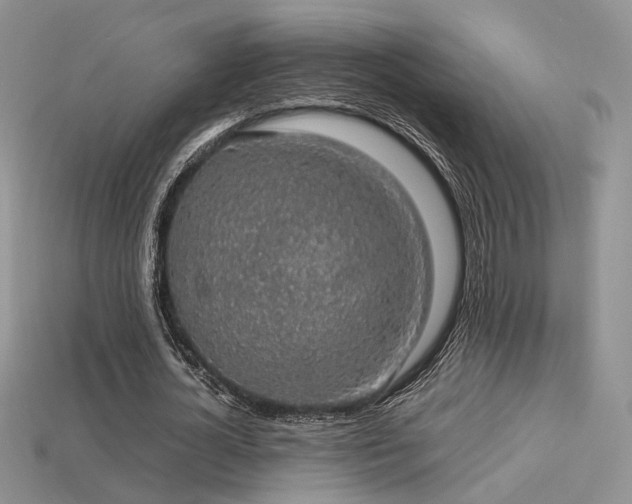 X0000113600724200909181351